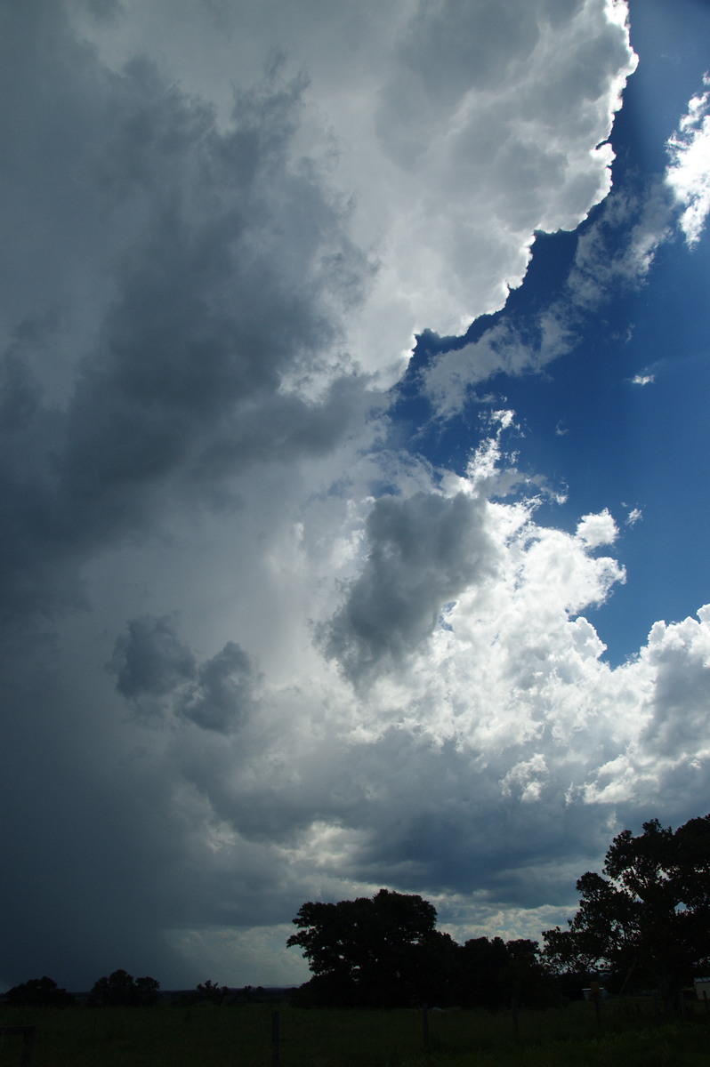 updraft thunderstorm_updrafts : McKees Hill, NSW   30 December 2008