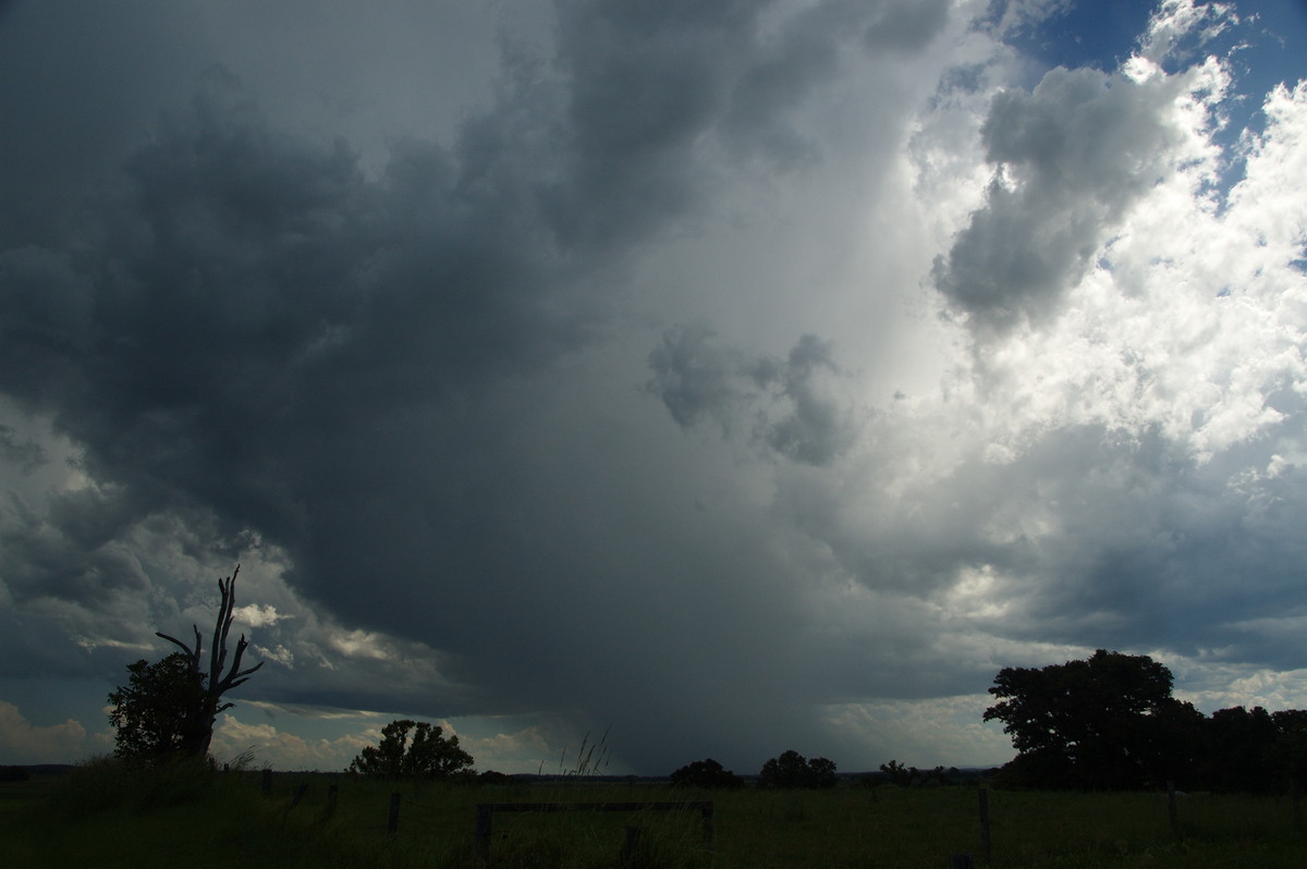 raincascade precipitation_cascade : McKees Hill, NSW   30 December 2008