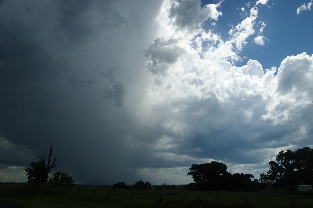 cumulus congestus : McKees Hill, NSW   30 December 2008