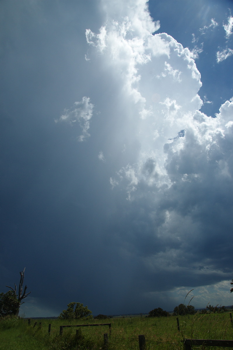 updraft thunderstorm_updrafts : McKees Hill, NSW   30 December 2008