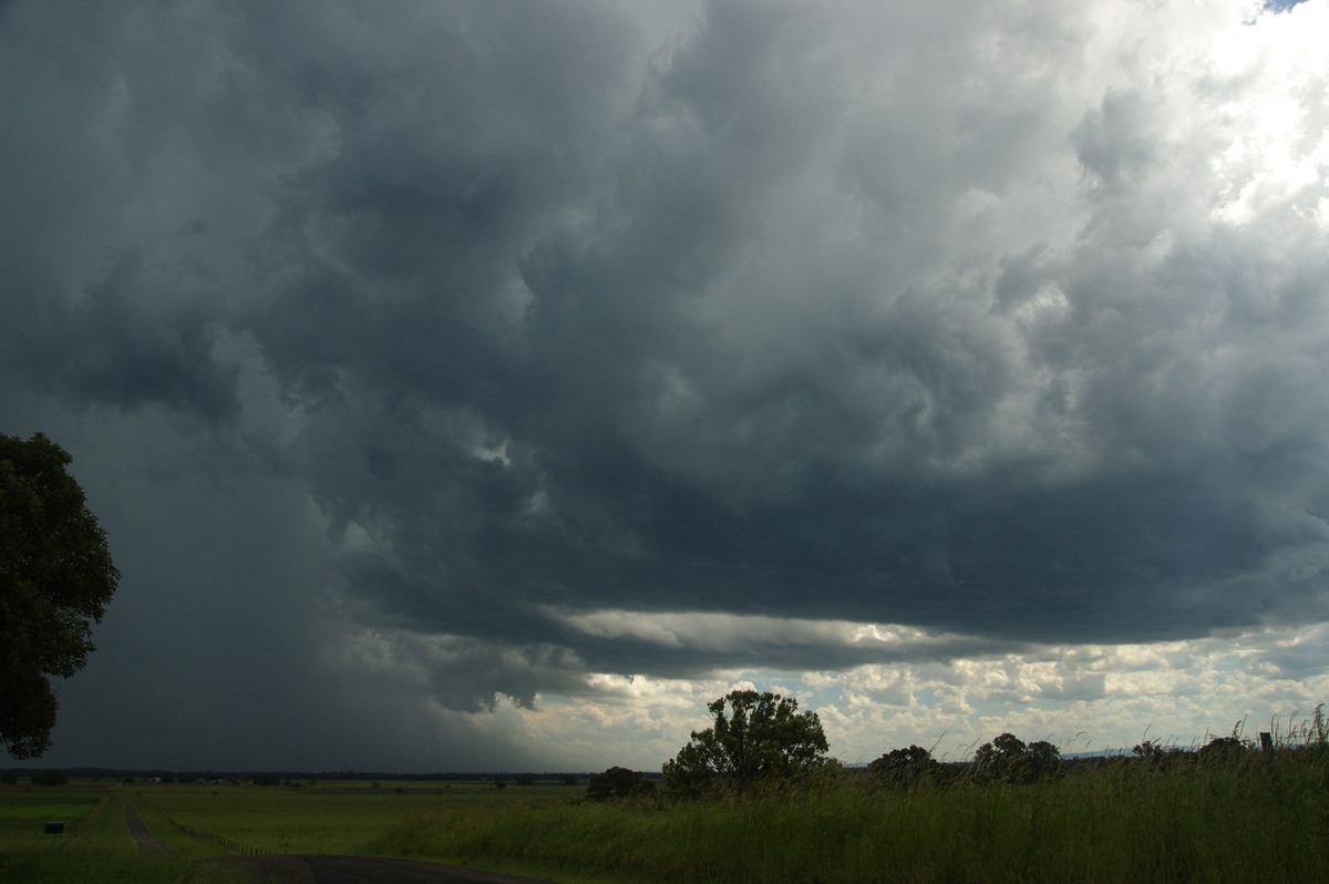 cumulonimbus thunderstorm_base : McKees Hill, NSW   30 December 2008