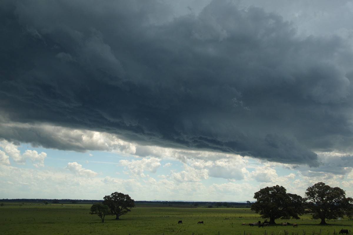 cumulonimbus thunderstorm_base : McKees Hill, NSW   30 December 2008