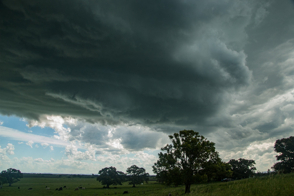 cumulonimbus supercell_thunderstorm : McKees Hill, NSW   30 December 2008