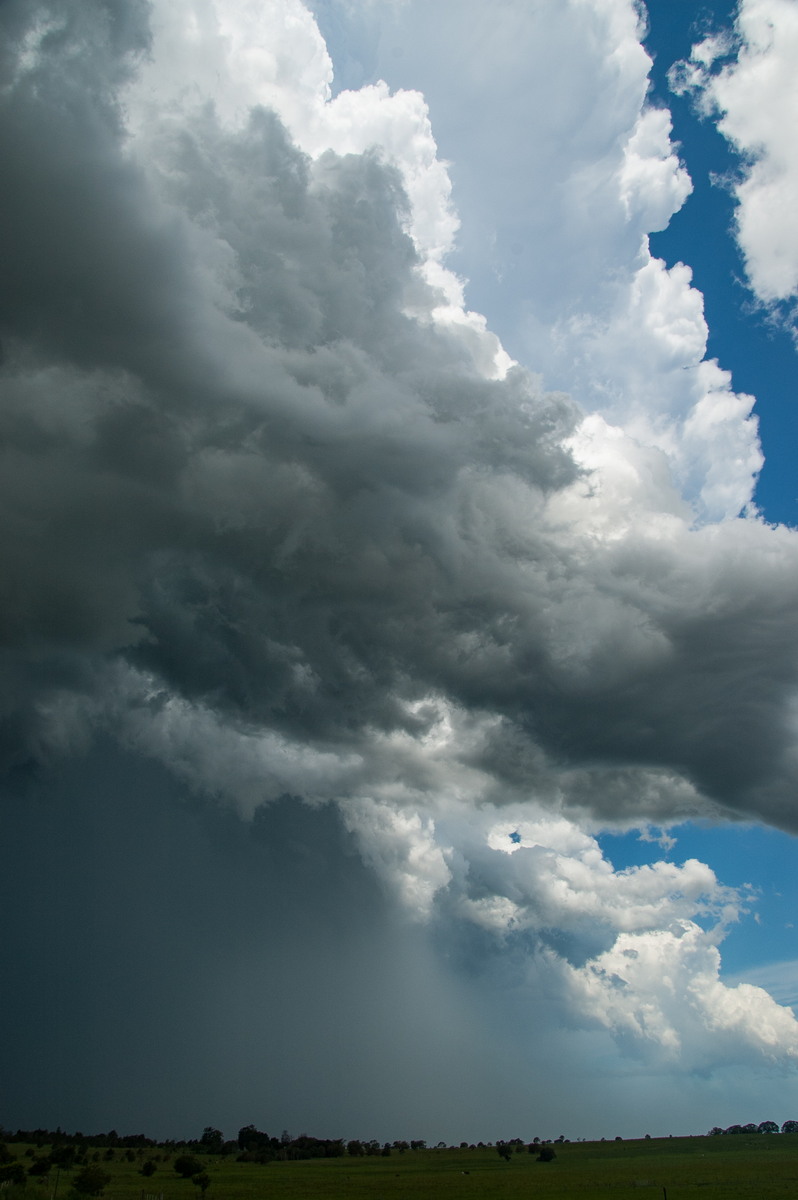 updraft thunderstorm_updrafts : McKees Hill, NSW   30 December 2008