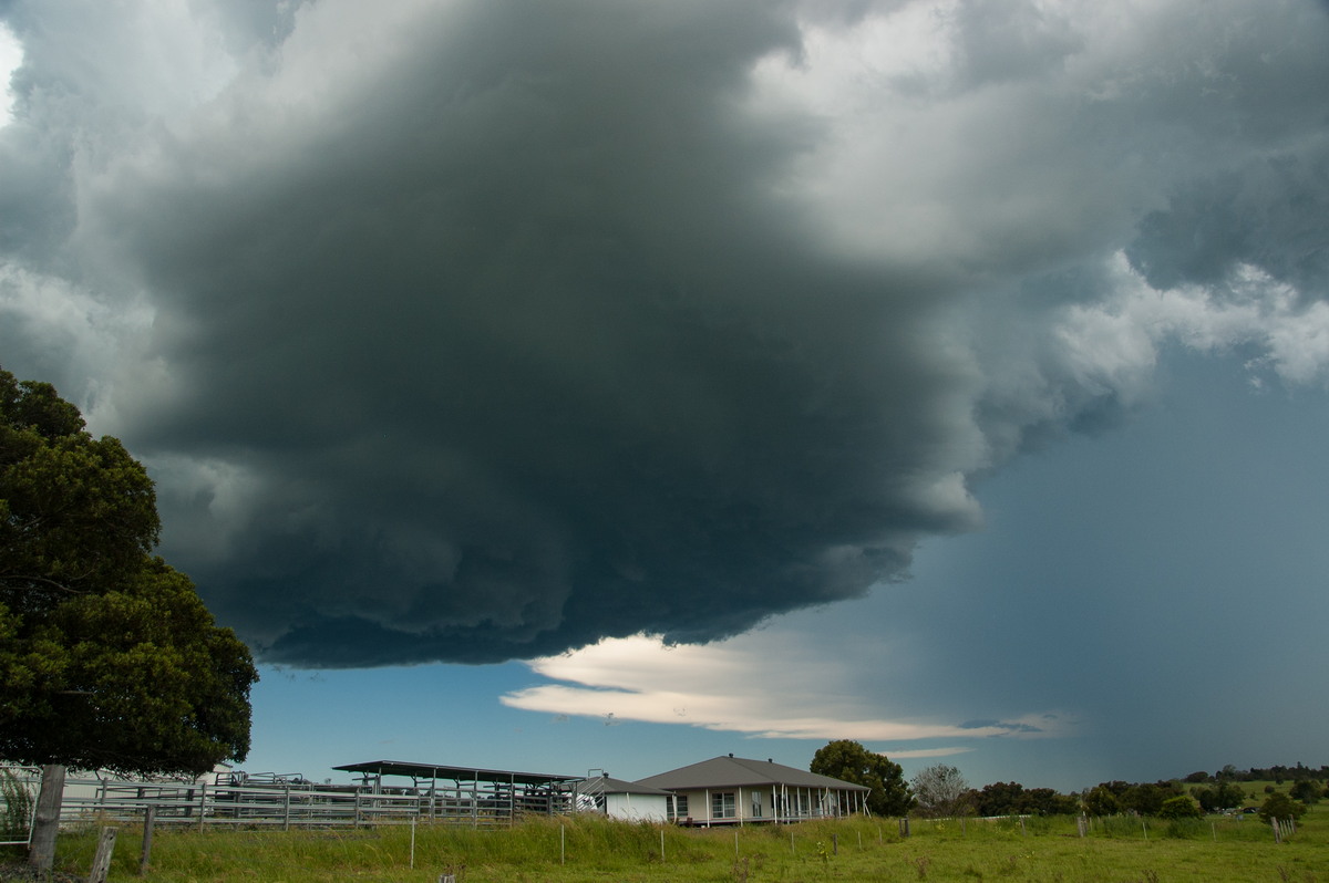 cumulonimbus thunderstorm_base : McKees Hill, NSW   30 December 2008