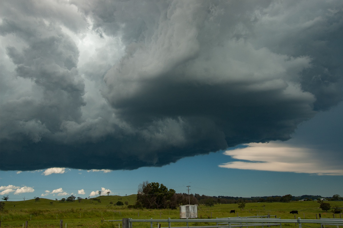 wallcloud thunderstorm_wall_cloud : McKees Hill, NSW   30 December 2008