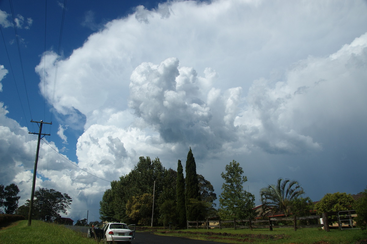 cumulonimbus supercell_thunderstorm : McLeans Ridges, NSW   30 December 2008