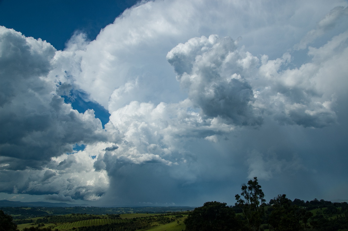 thunderstorm cumulonimbus_incus : McLeans Ridges, NSW   30 December 2008