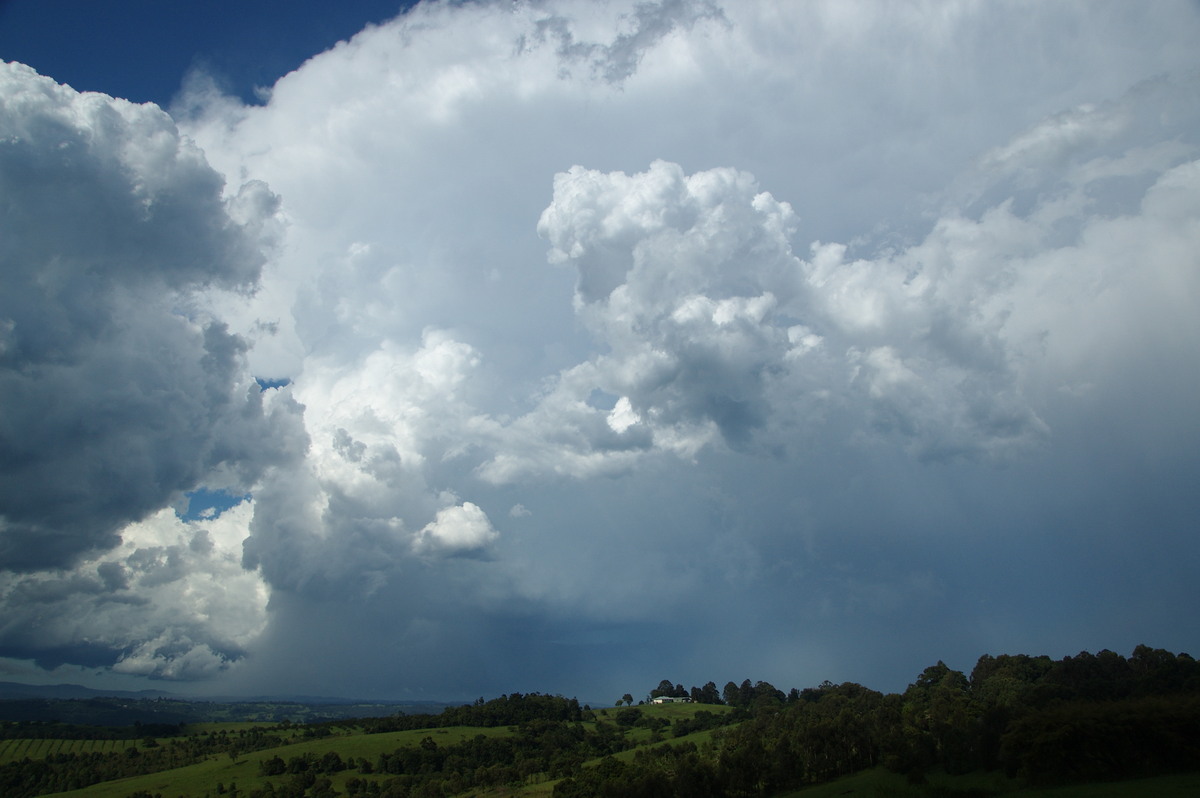 cumulonimbus supercell_thunderstorm : McLeans Ridges, NSW   30 December 2008