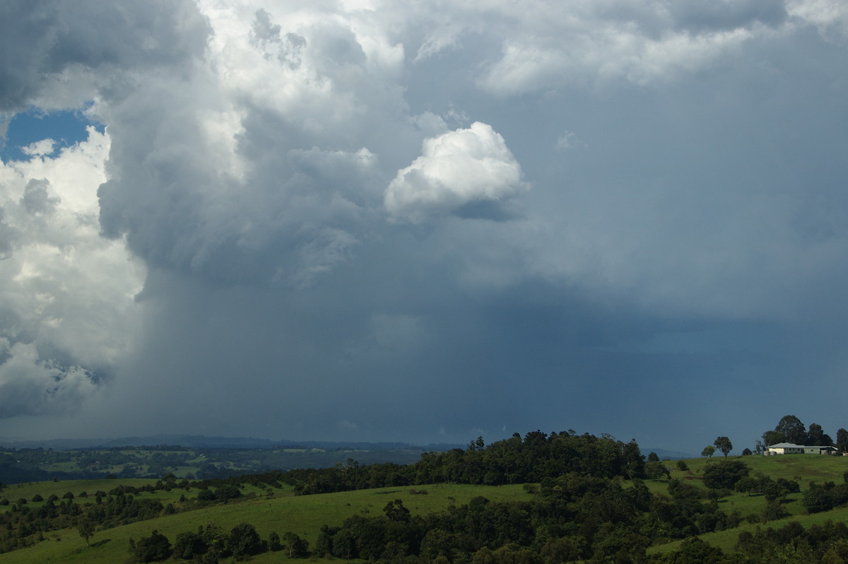 cumulonimbus thunderstorm_base : McLeans Ridges, NSW   30 December 2008