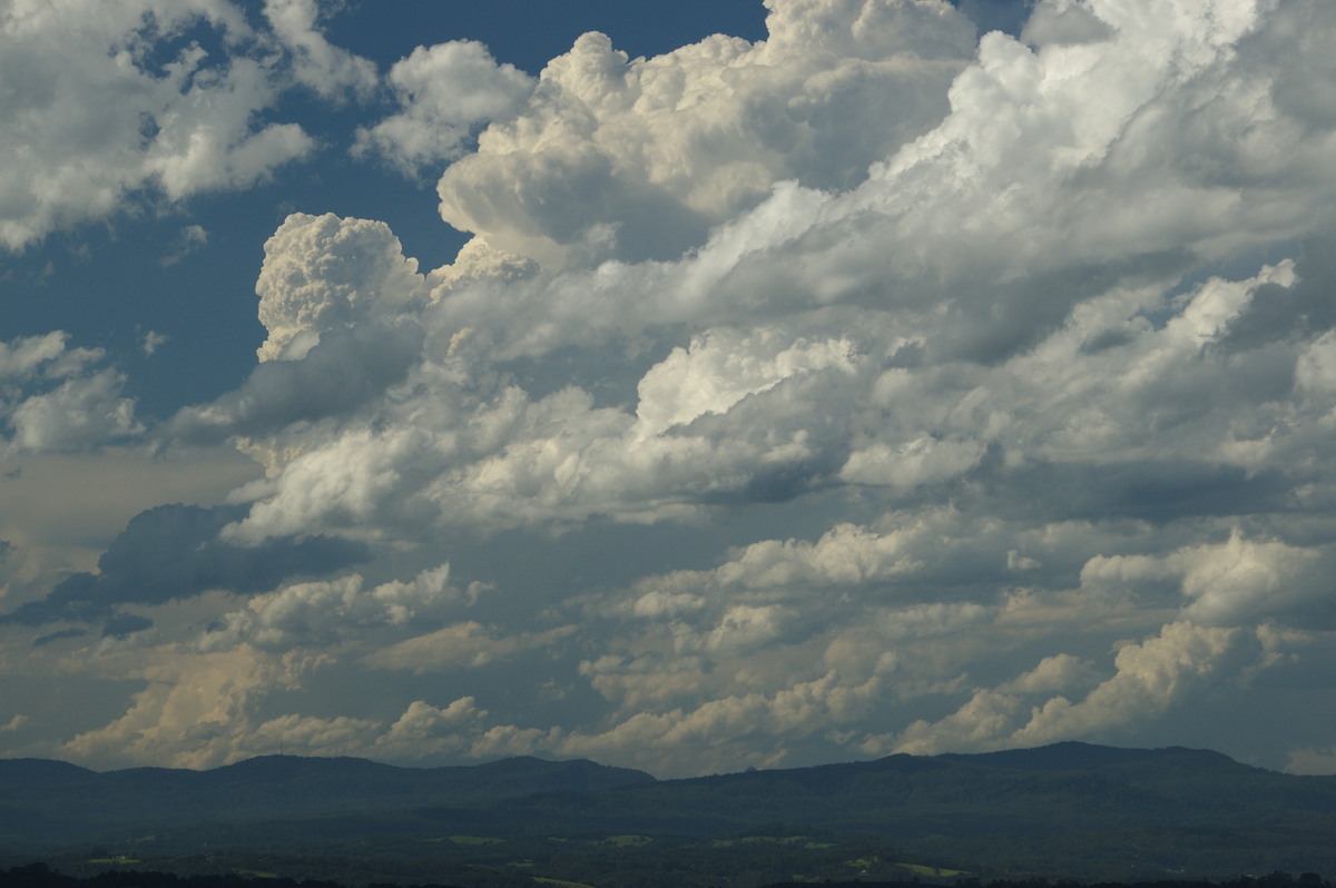 thunderstorm cumulonimbus_calvus : McLeans Ridges, NSW   30 December 2008