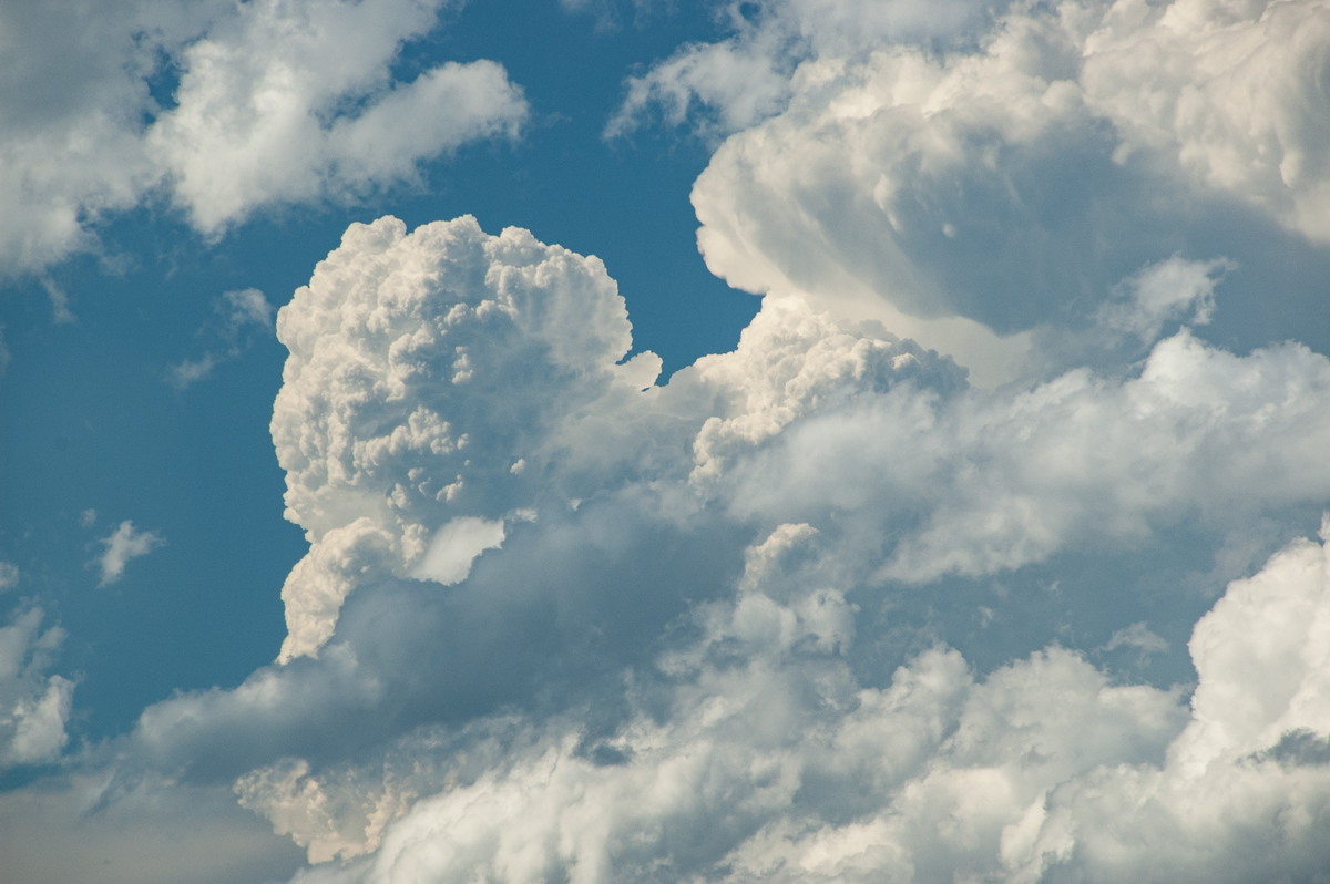 updraft thunderstorm_updrafts : McLeans Ridges, NSW   30 December 2008