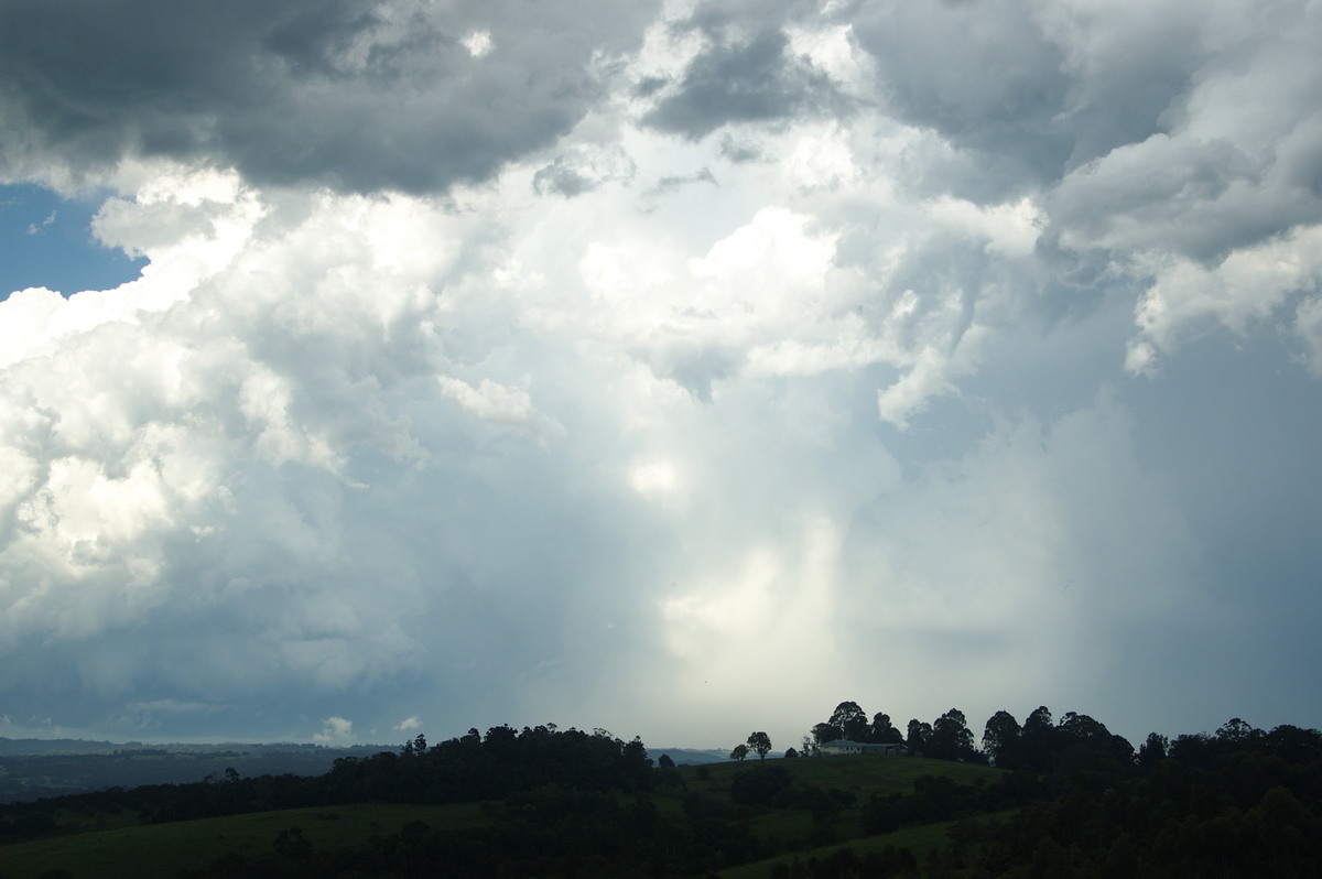 cumulonimbus thunderstorm_base : McLeans Ridges, NSW   30 December 2008