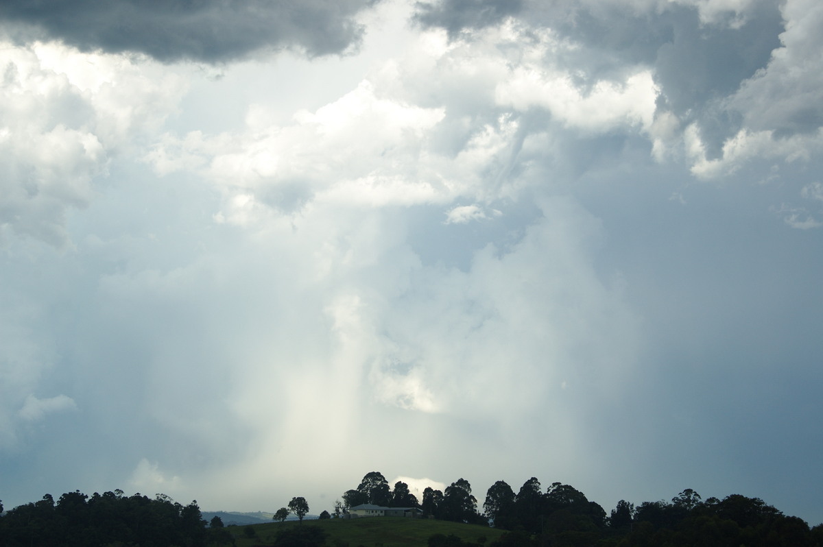 tornadoes funnel_tornado_waterspout : McLeans Ridges, NSW   30 December 2008