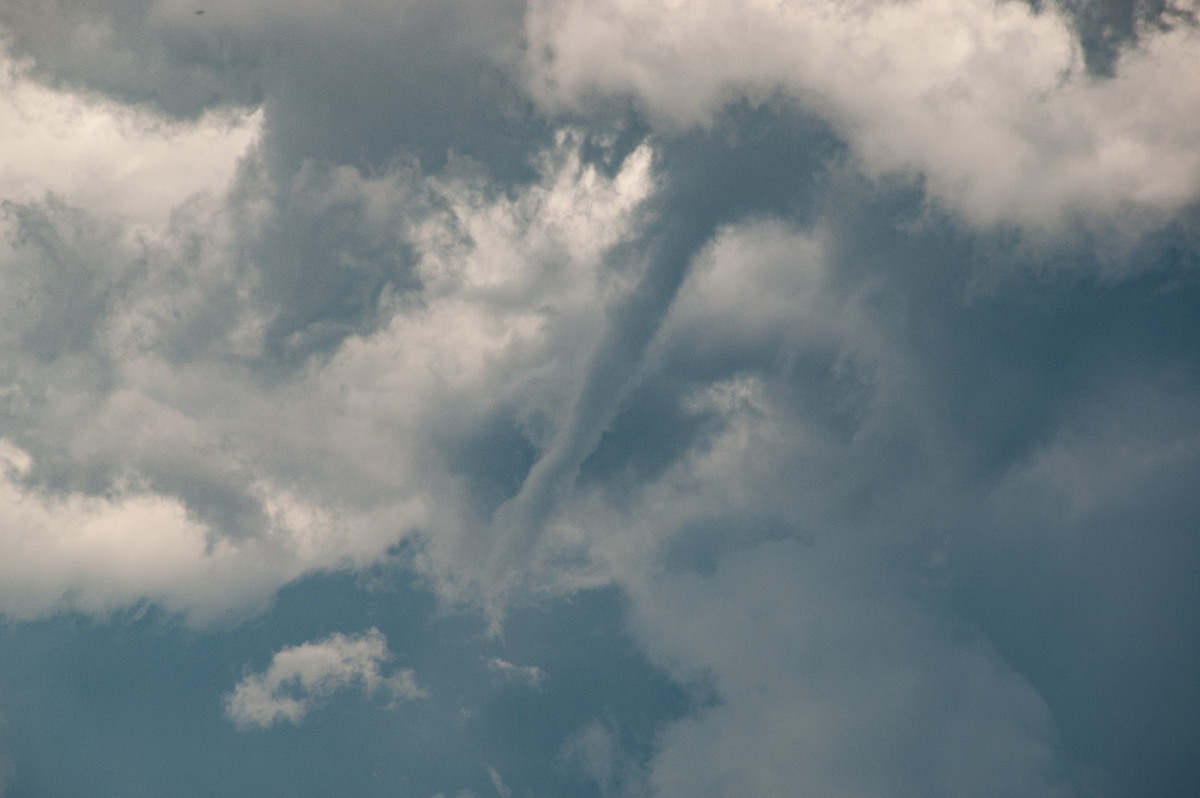 tornadoes funnel_tornado_waterspout : McLeans Ridges, NSW   30 December 2008