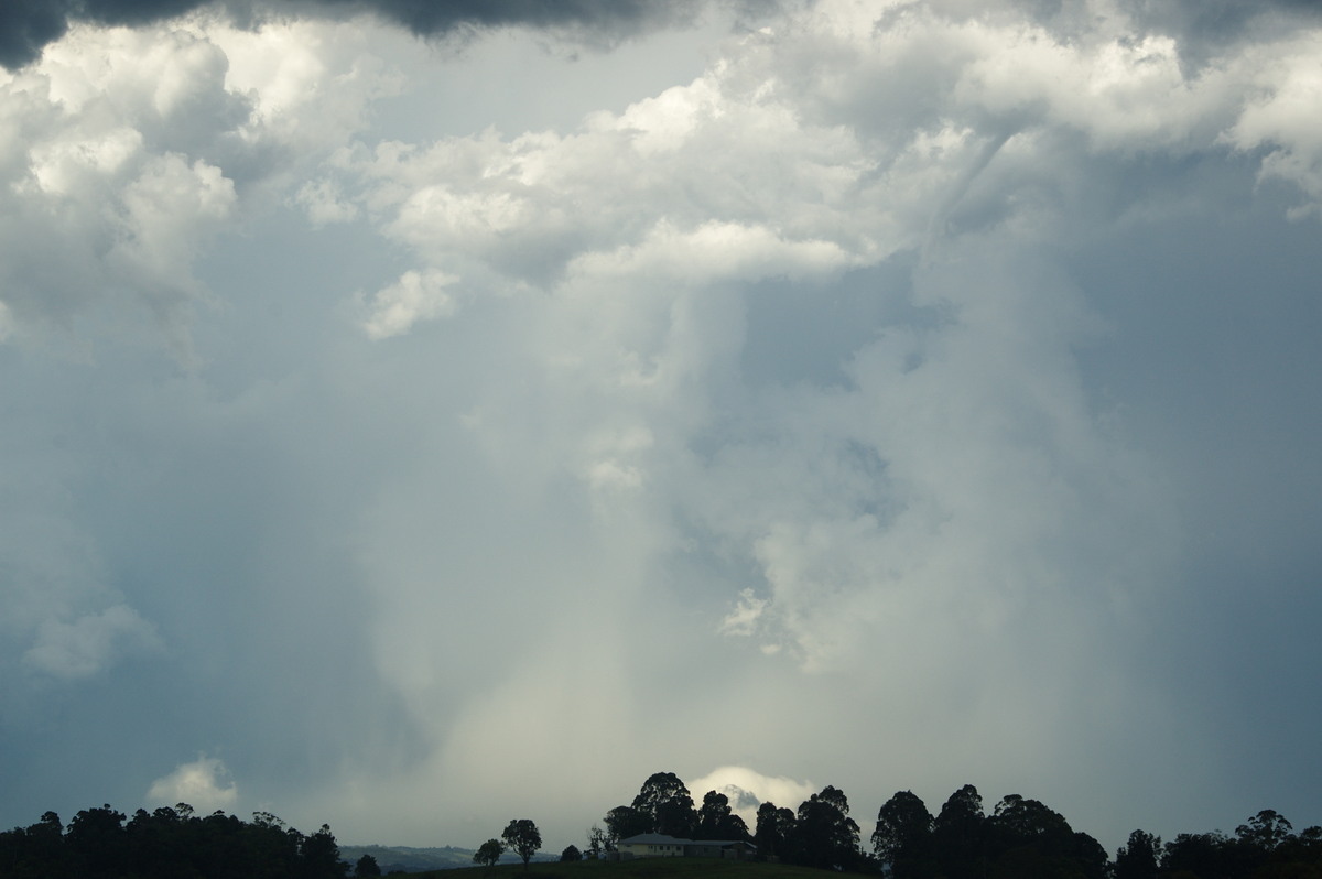 raincascade precipitation_cascade : McLeans Ridges, NSW   30 December 2008