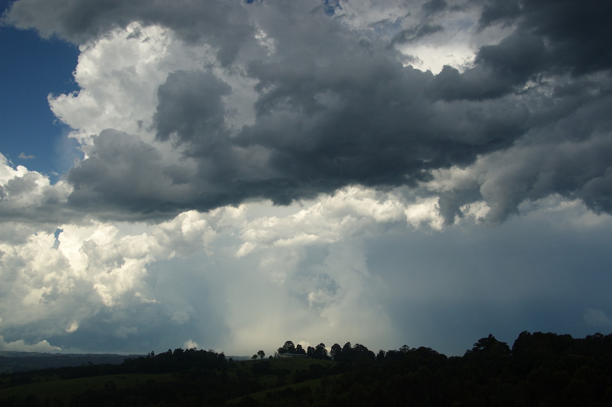 raincascade precipitation_cascade : McLeans Ridges, NSW   30 December 2008