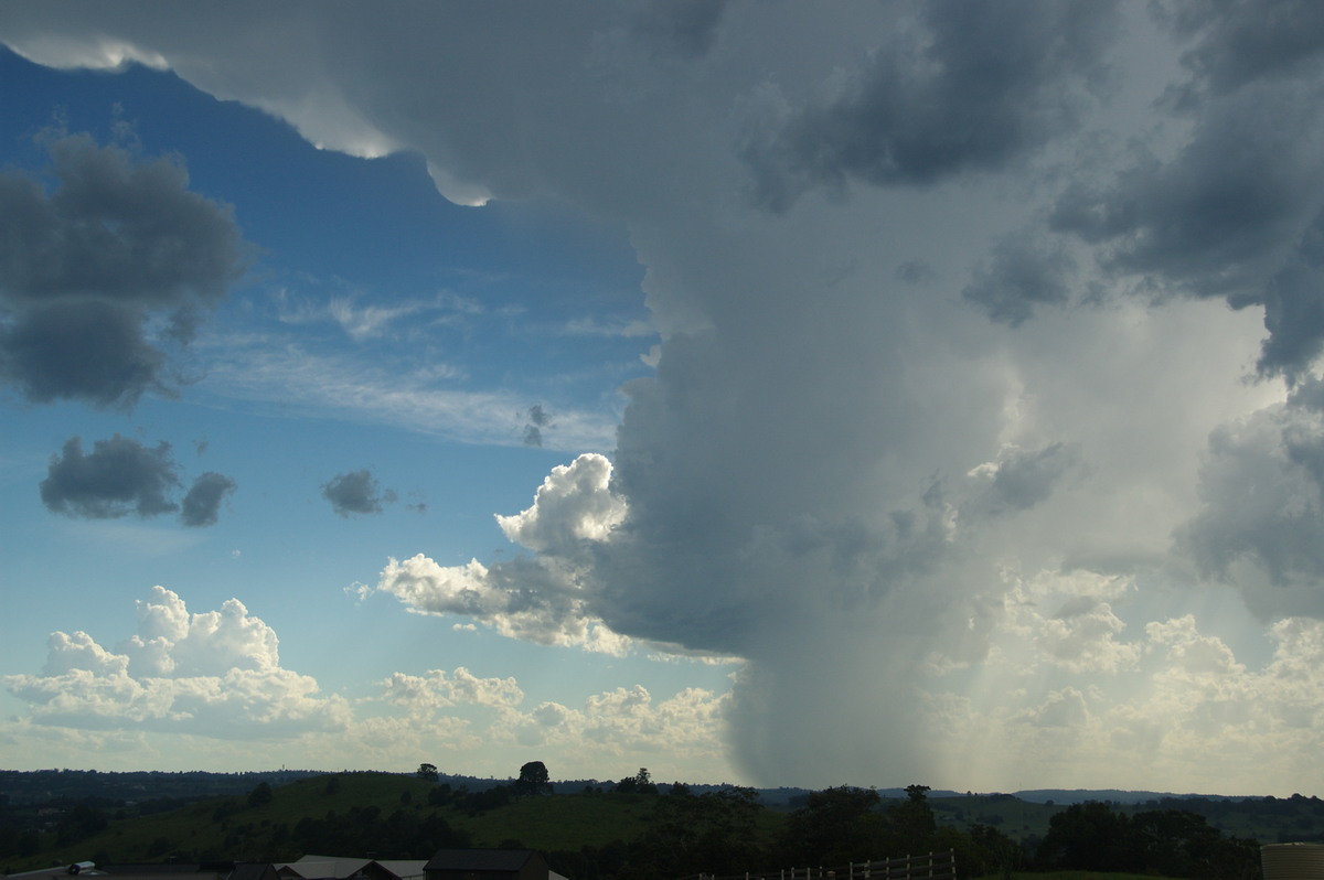 raincascade precipitation_cascade : McLeans Ridges, NSW   30 December 2008