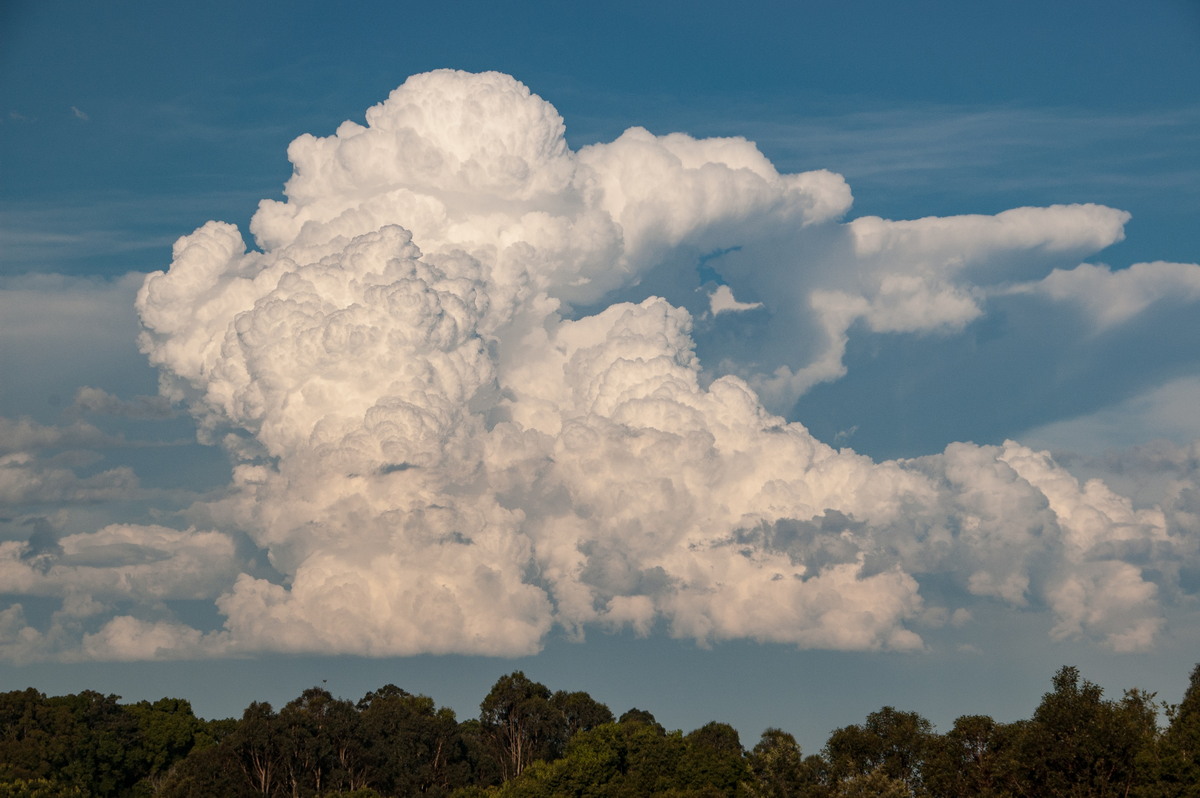 thunderstorm cumulonimbus_incus : McLeans Ridges, NSW   30 December 2008