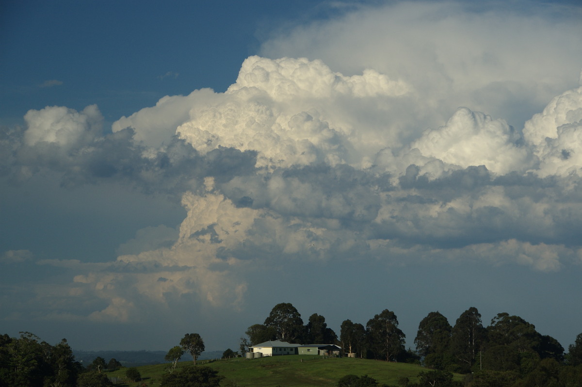 thunderstorm cumulonimbus_incus : McLeans Ridges, NSW   30 December 2008