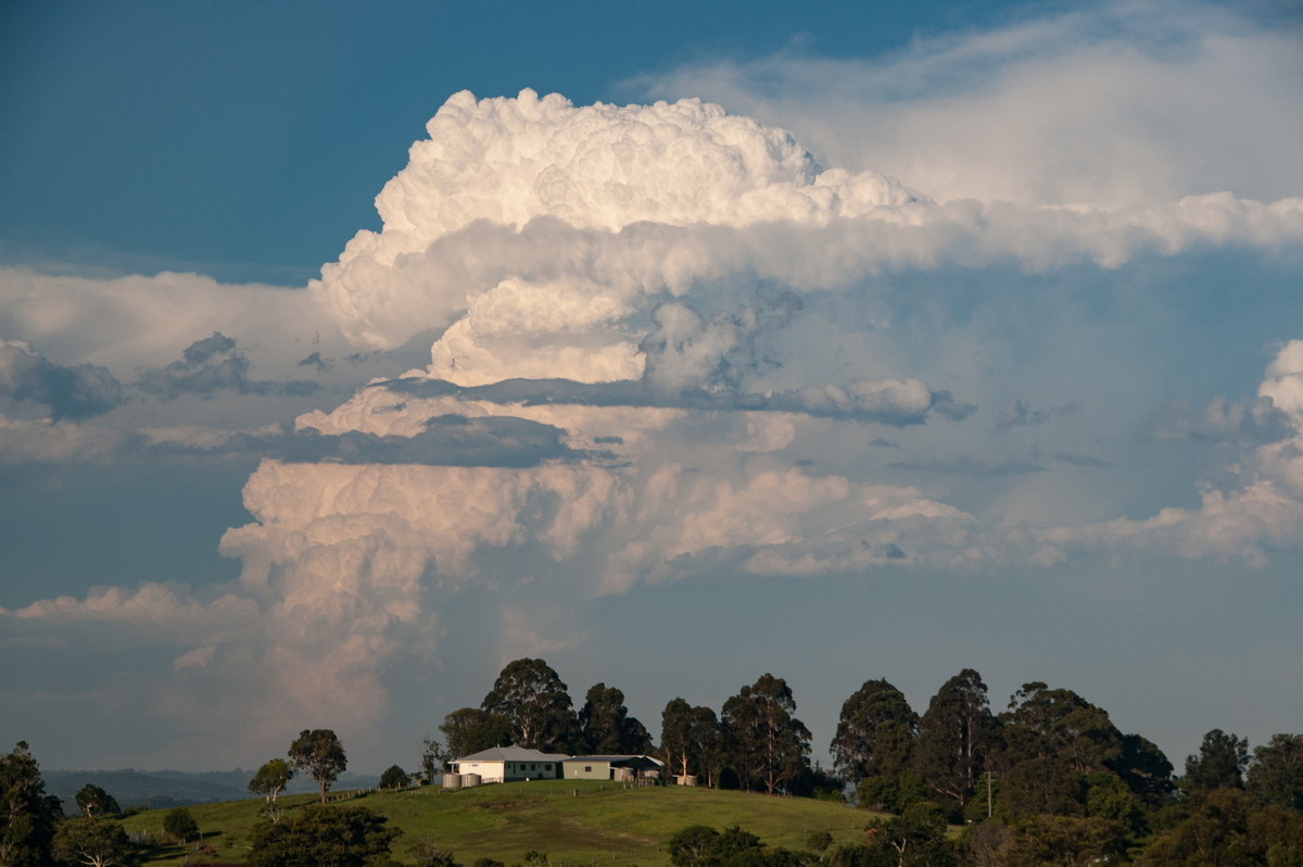 cumulonimbus supercell_thunderstorm : McLeans Ridges, NSW   30 December 2008