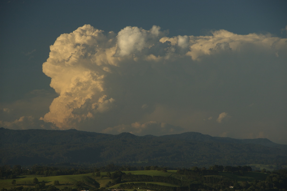 updraft thunderstorm_updrafts : McLeans Ridges, NSW   30 December 2008