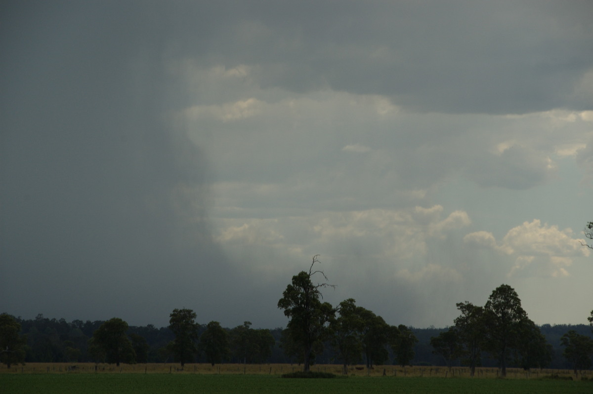 microburst micro_burst : Shannon Brook, NSW   16 January 2009