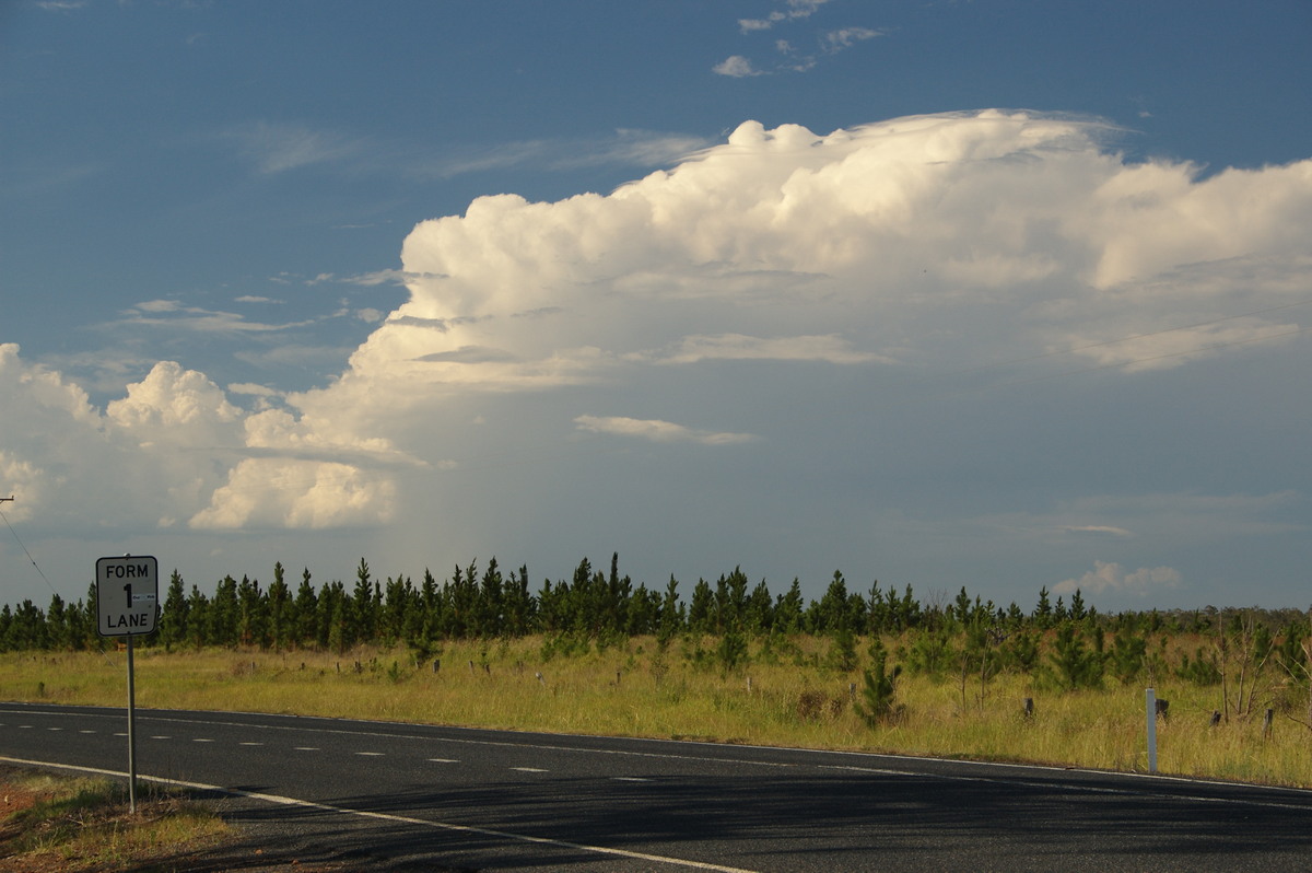 thunderstorm cumulonimbus_incus : Whiporie, NSW   16 January 2009