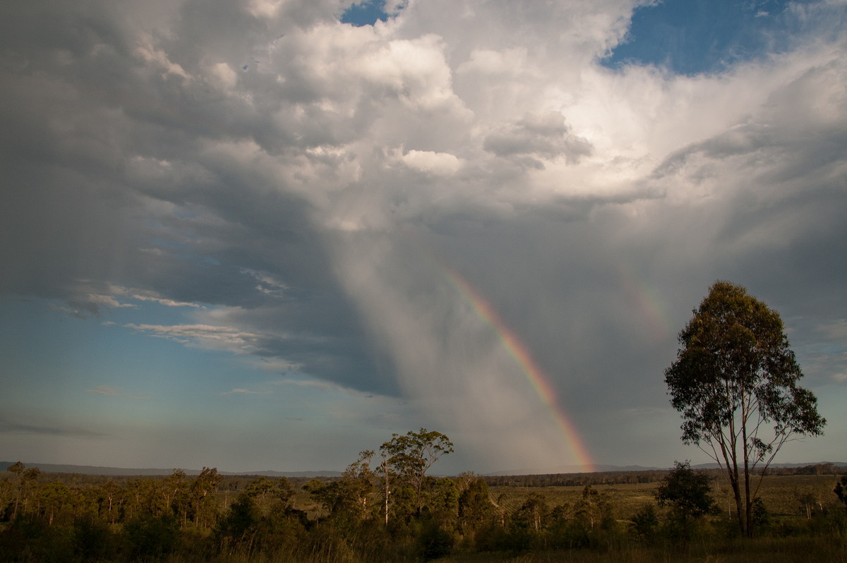 rainbow rainbow_pictures : near Lawrence, NSW   16 January 2009