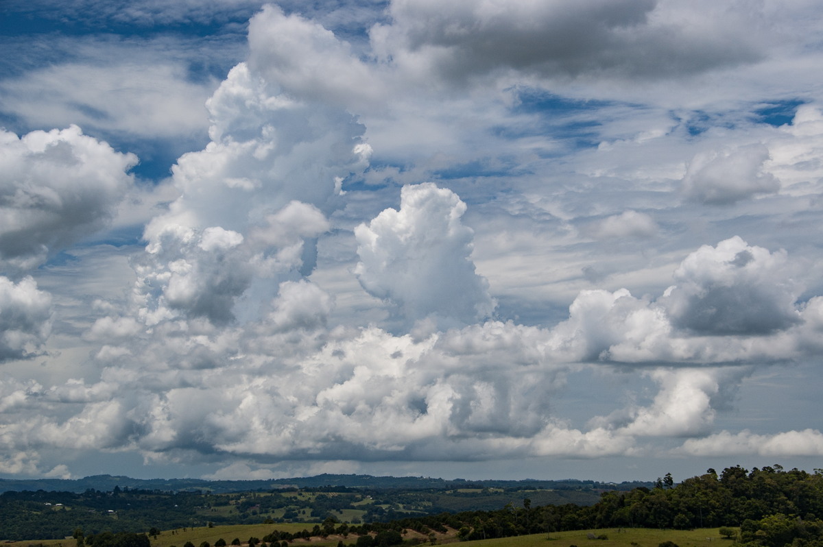 cumulus congestus : McLeans Ridges, NSW   23 January 2009