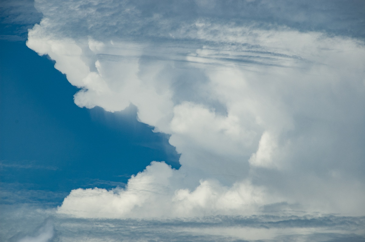 updraft thunderstorm_updrafts : McLeans Ridges, NSW   23 January 2009