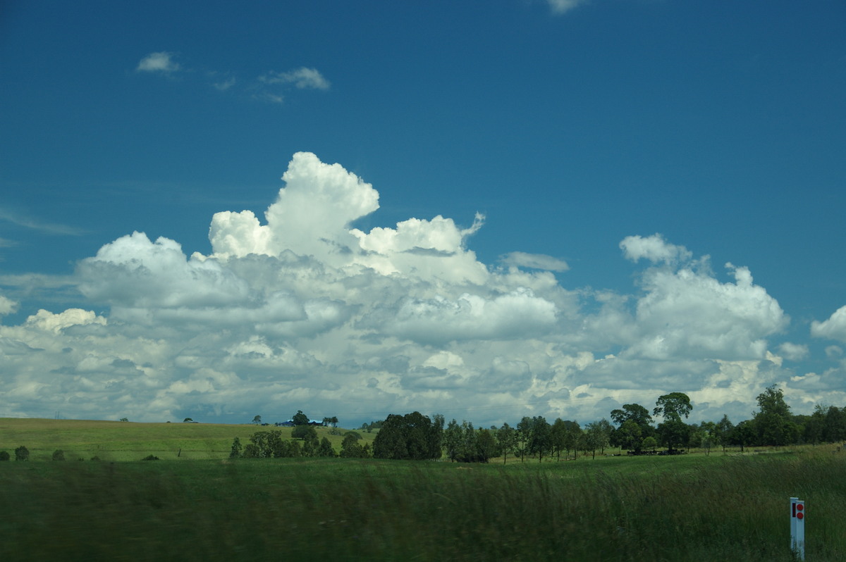 cumulus congestus : W of Casino, NSW   24 January 2009