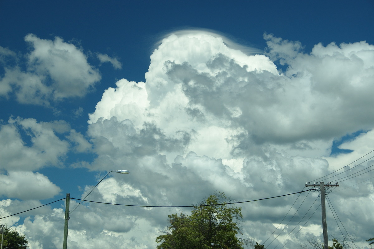 thunderstorm cumulonimbus_calvus : Tenterfield, NSW   24 January 2009