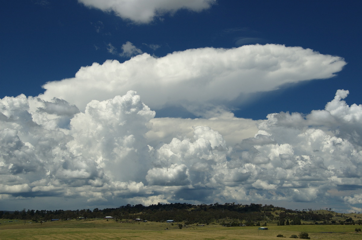 thunderstorm cumulonimbus_incus : Tenterfield, NSW   24 January 2009