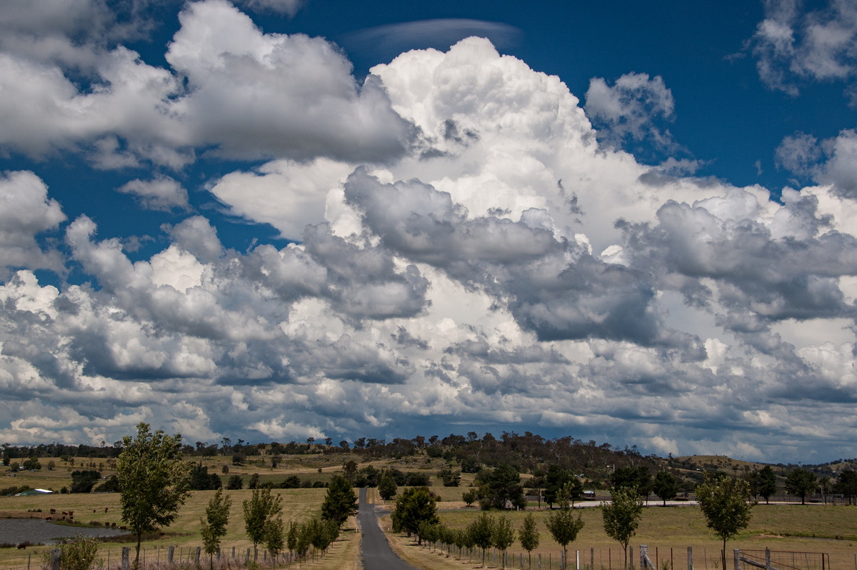 pileus pileus_cap_cloud : Tenterfield, NSW   24 January 2009