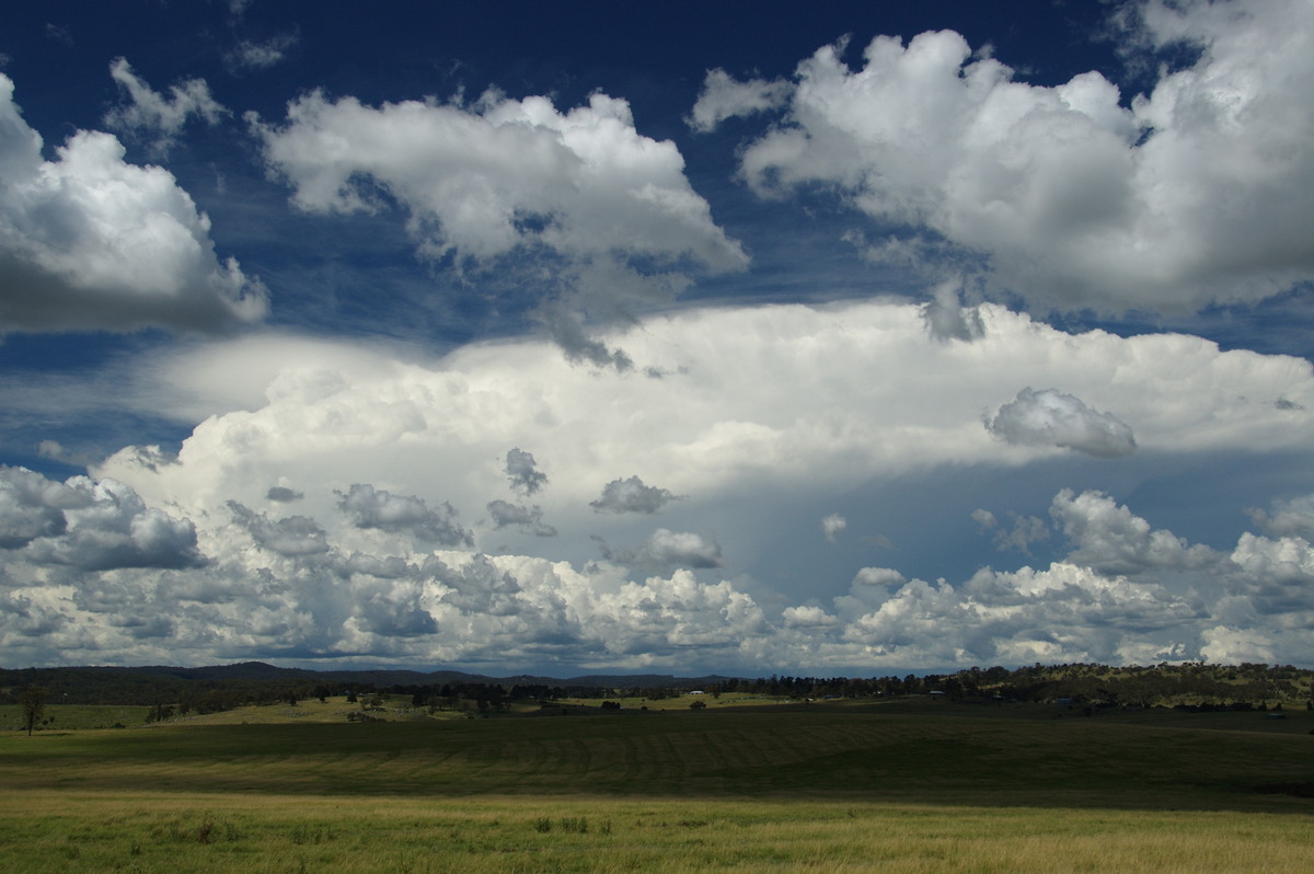 thunderstorm cumulonimbus_incus : Tenterfield, NSW   24 January 2009