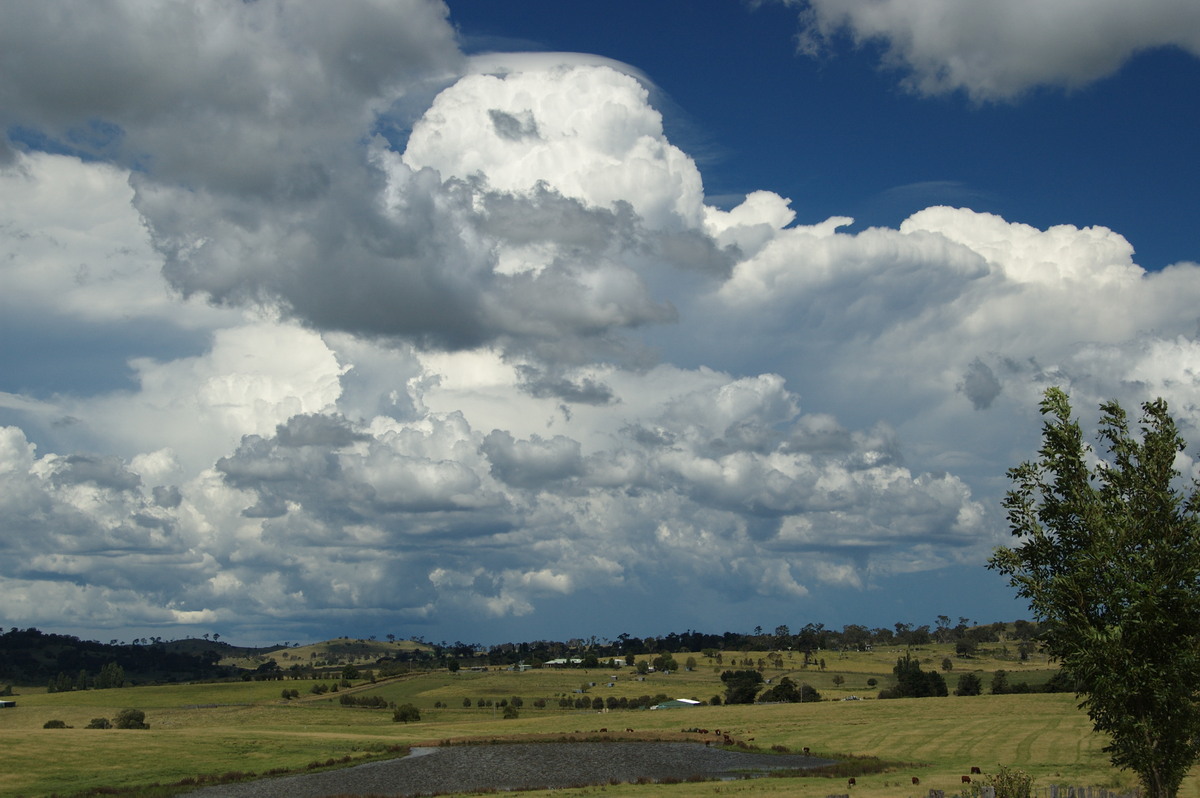 thunderstorm cumulonimbus_incus : Tenterfield, NSW   24 January 2009