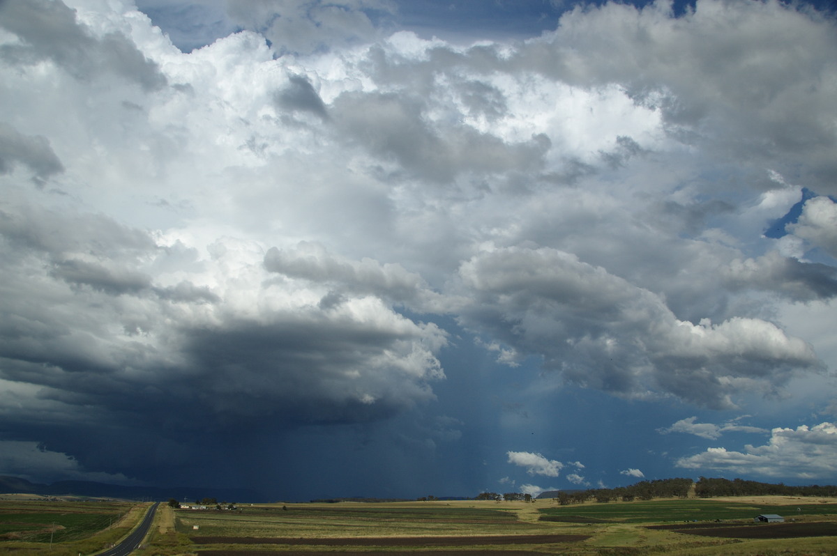 thunderstorm cumulonimbus_incus : near Warwick, QLD   24 January 2009