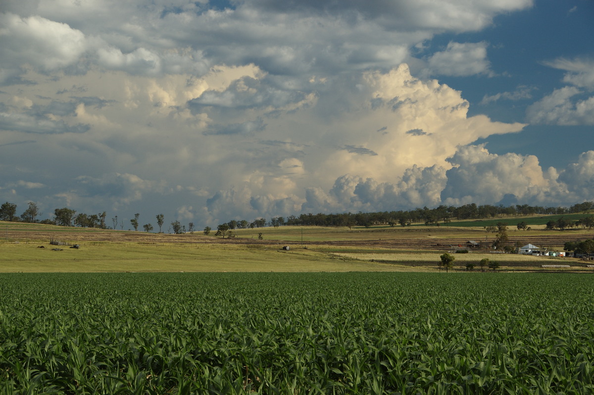 thunderstorm cumulonimbus_incus : near Warwick, QLD   24 January 2009