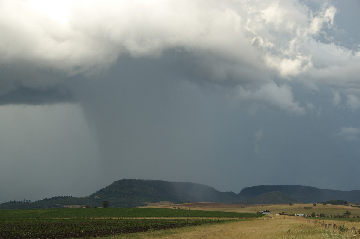 cumulonimbus thunderstorm_base : near Warwick, QLD   24 January 2009