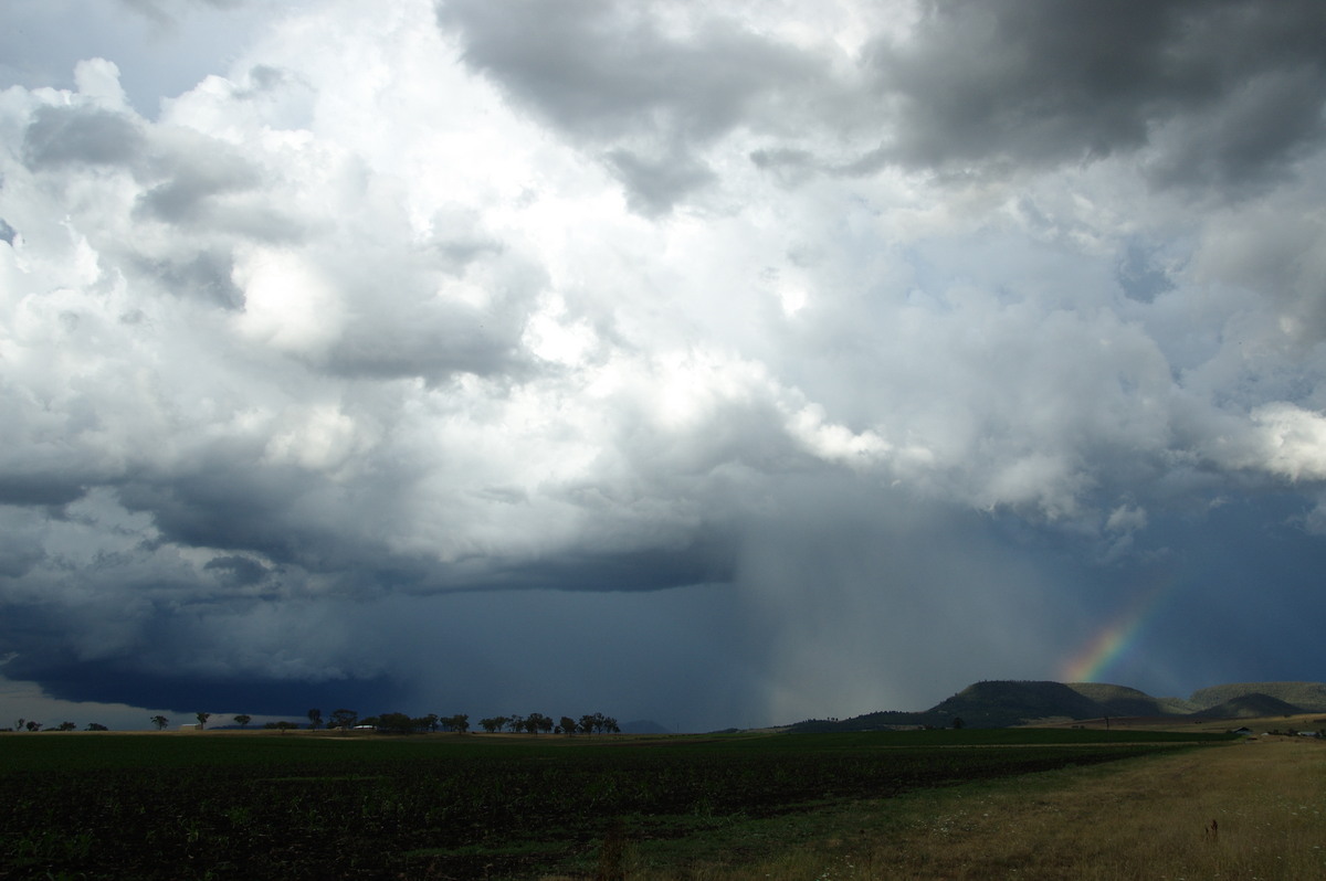 cumulonimbus thunderstorm_base : near Warwick, QLD   24 January 2009