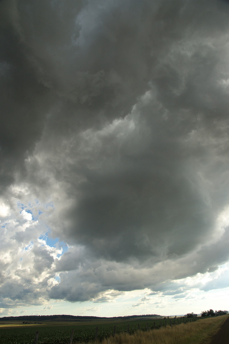 cumulus congestus : near Warwick, QLD   24 January 2009