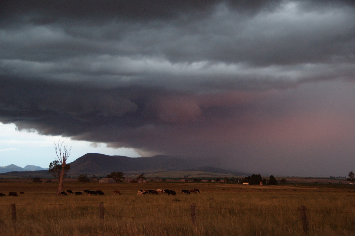 sunset sunset_pictures : near Killarney, QLD   24 January 2009