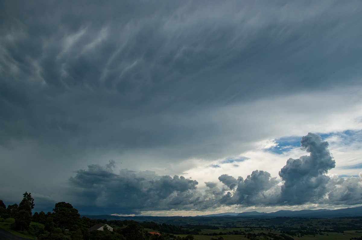 mammatus mammatus_cloud : McLeans Ridges, NSW   19 February 2009