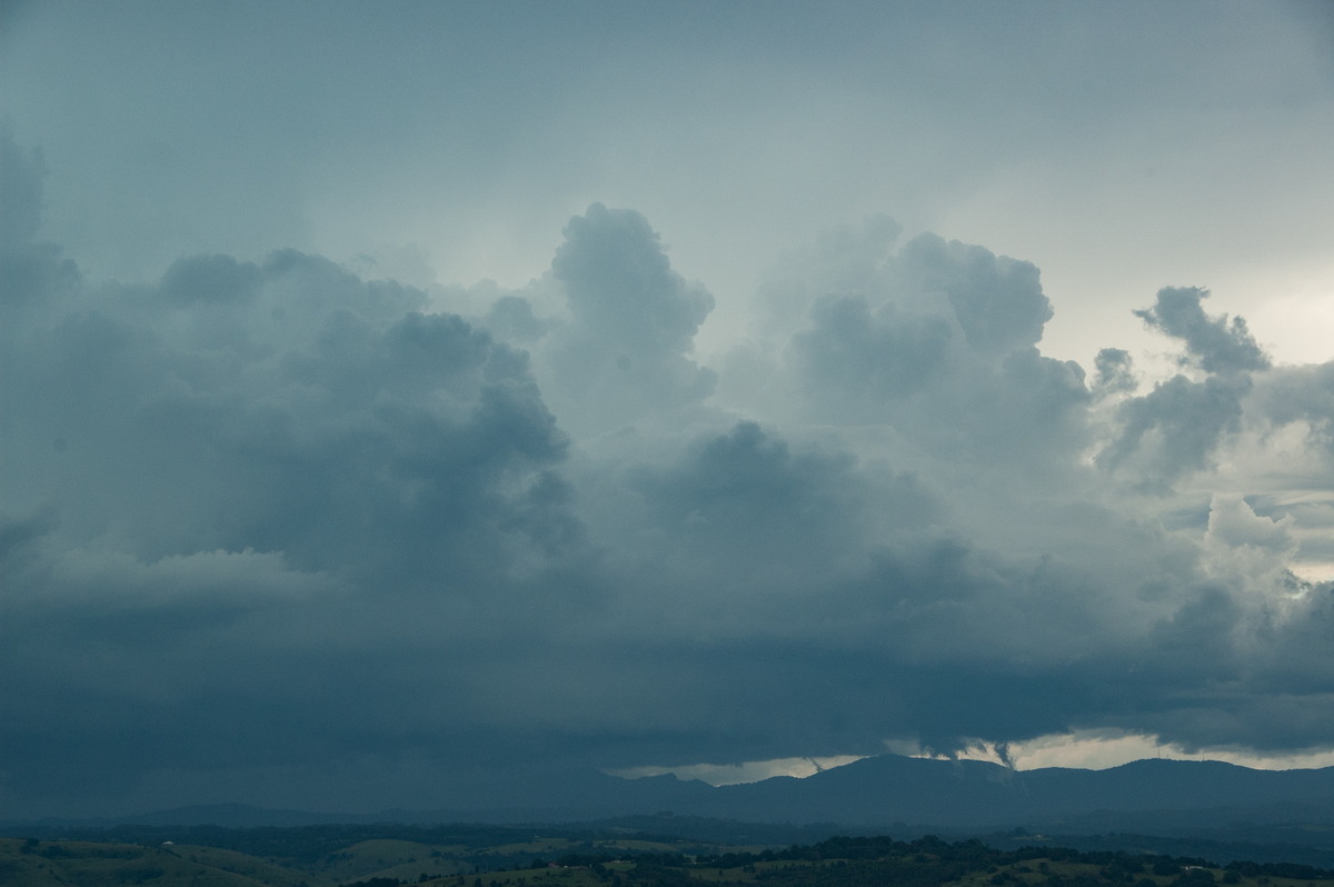 cumulus congestus : McLeans Ridges, NSW   19 February 2009