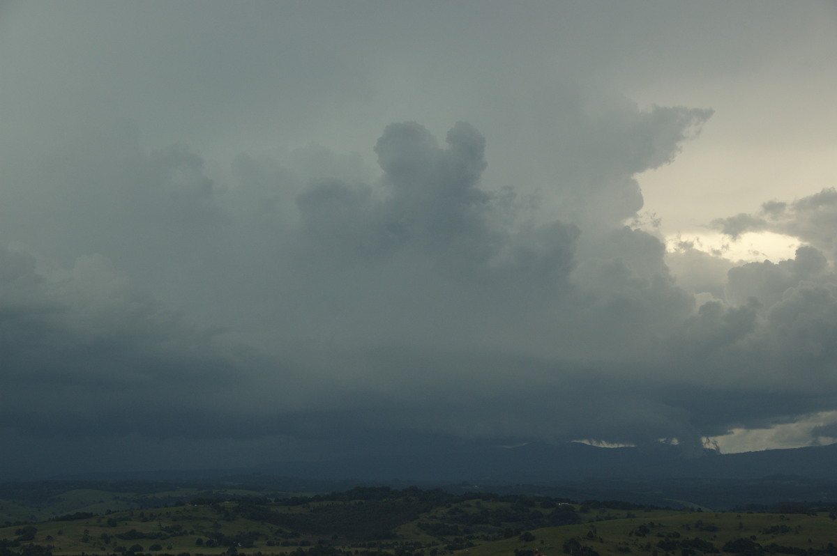 cumulonimbus thunderstorm_base : McLeans Ridges, NSW   19 February 2009