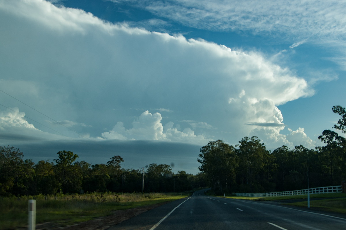 favourites michael_bath : Junction Hill, NSW   15 March 2009