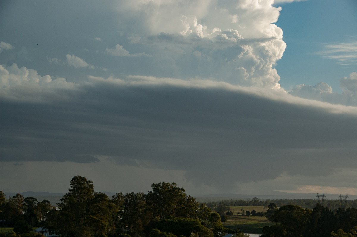 updraft thunderstorm_updrafts : Junction Hill, NSW   15 March 2009