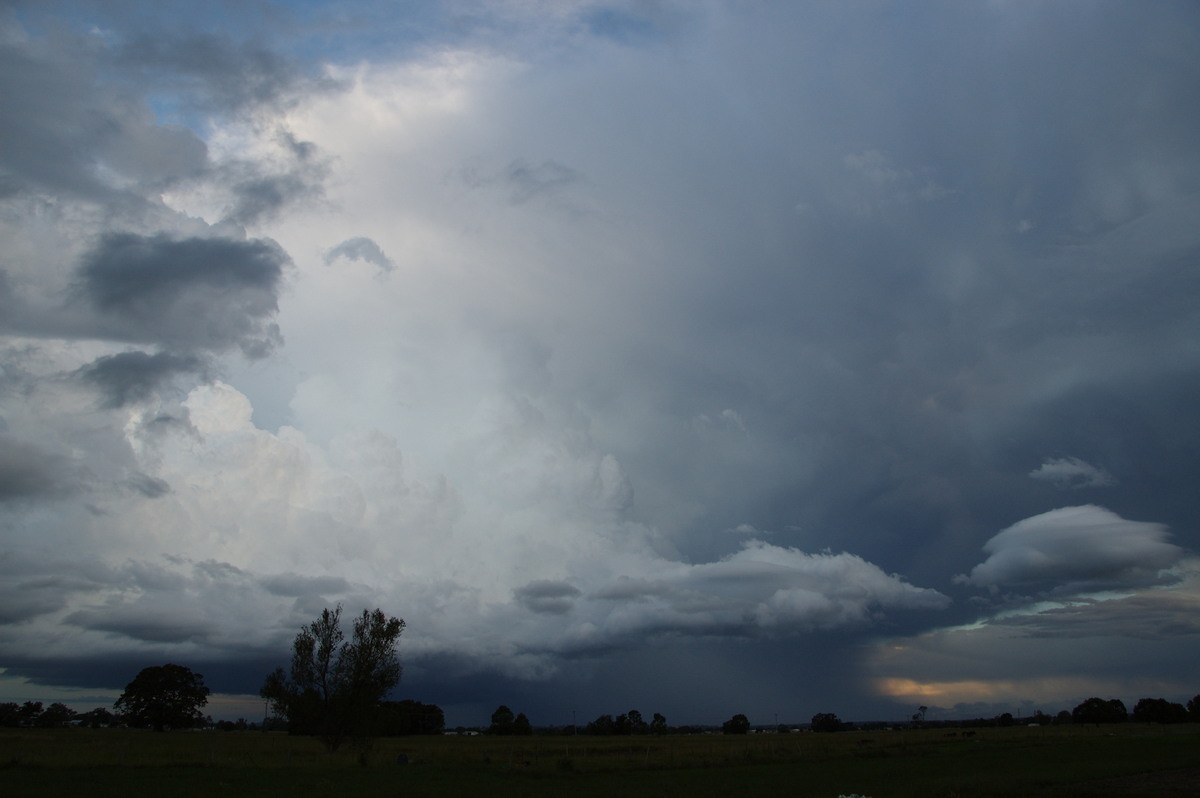 updraft thunderstorm_updrafts : Junction Hill, NSW   15 March 2009