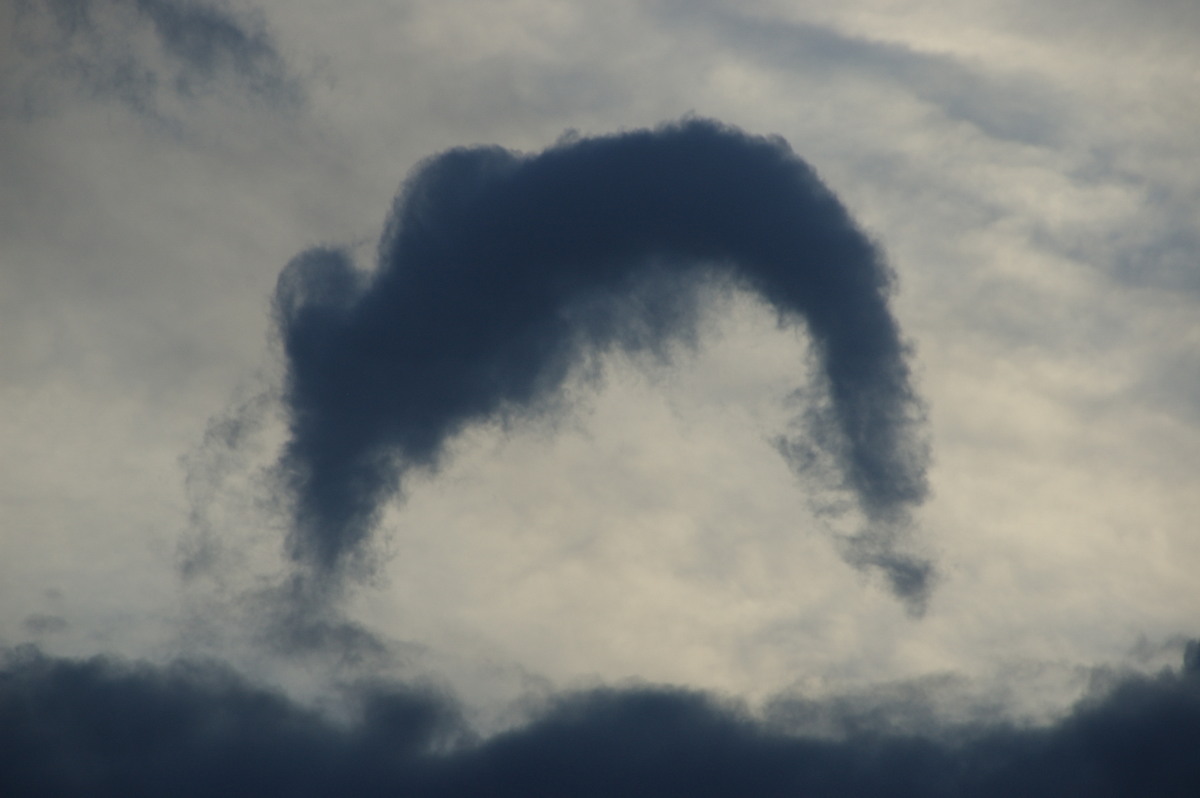 tornadoes funnel_tornado_waterspout : Junction Hill, NSW   15 March 2009